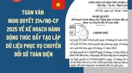Nghị quyết 214/NQ-CP năm 2025 về Kế hoạch hành động của Chính phủ về thúc đẩy tạo lập dữ liệu phục vụ chuyển đổi số toàn diện