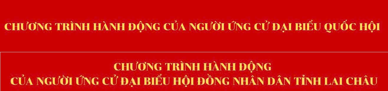 Chương trình hành động của người ứng cử đại biểu