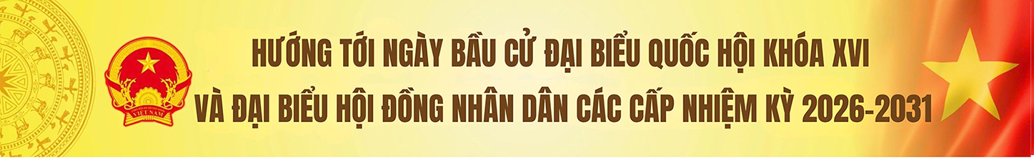 Bầu cử Đại biểu Quốc hội